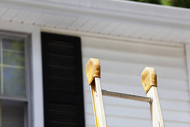 Same-Day Junk Removal Services in Freemansburg, PA